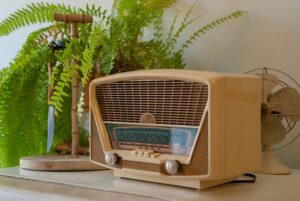 Radio on shelf with ferns